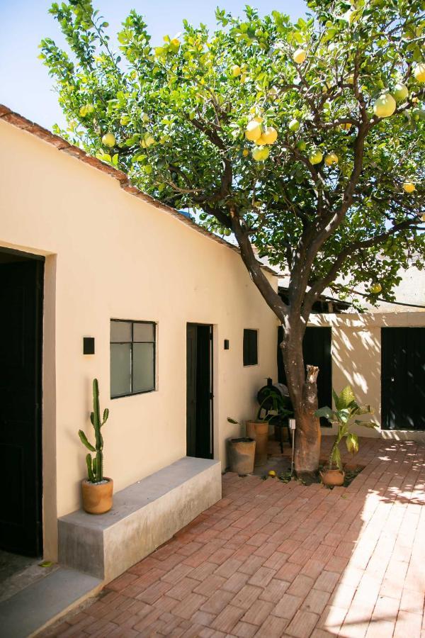 509 Accommodation Oaxaca Ngoại thất bức ảnh