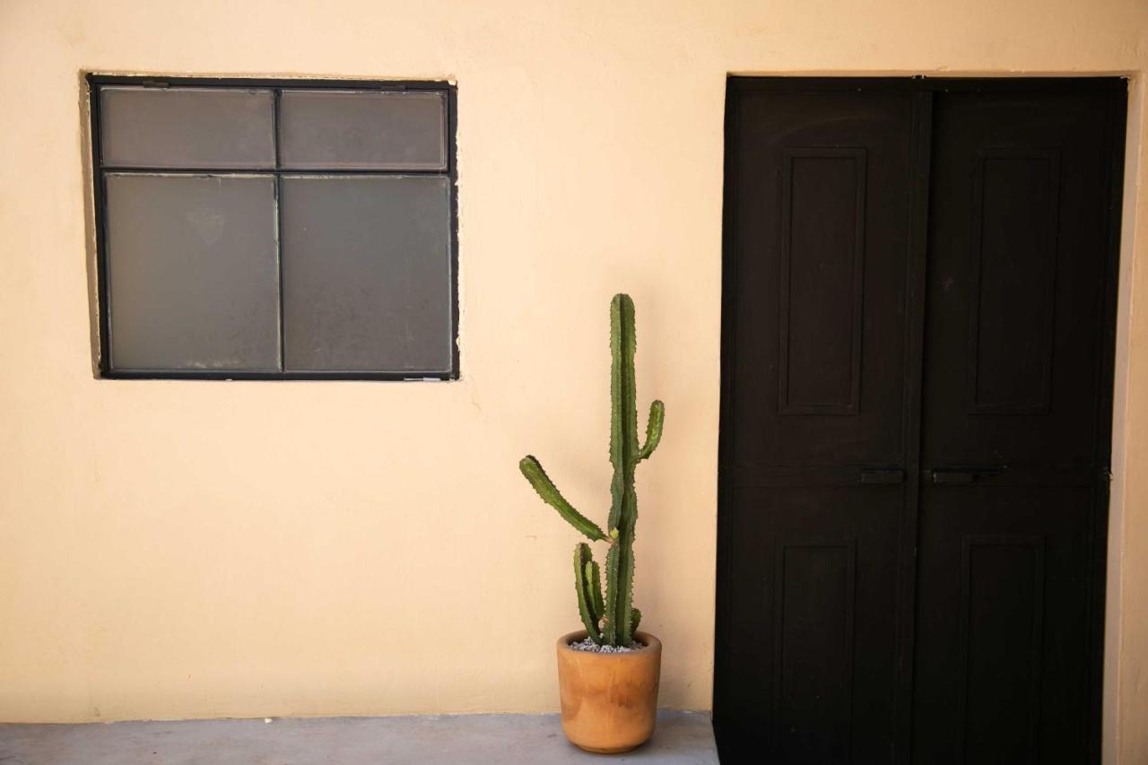 509 Accommodation Oaxaca Ngoại thất bức ảnh