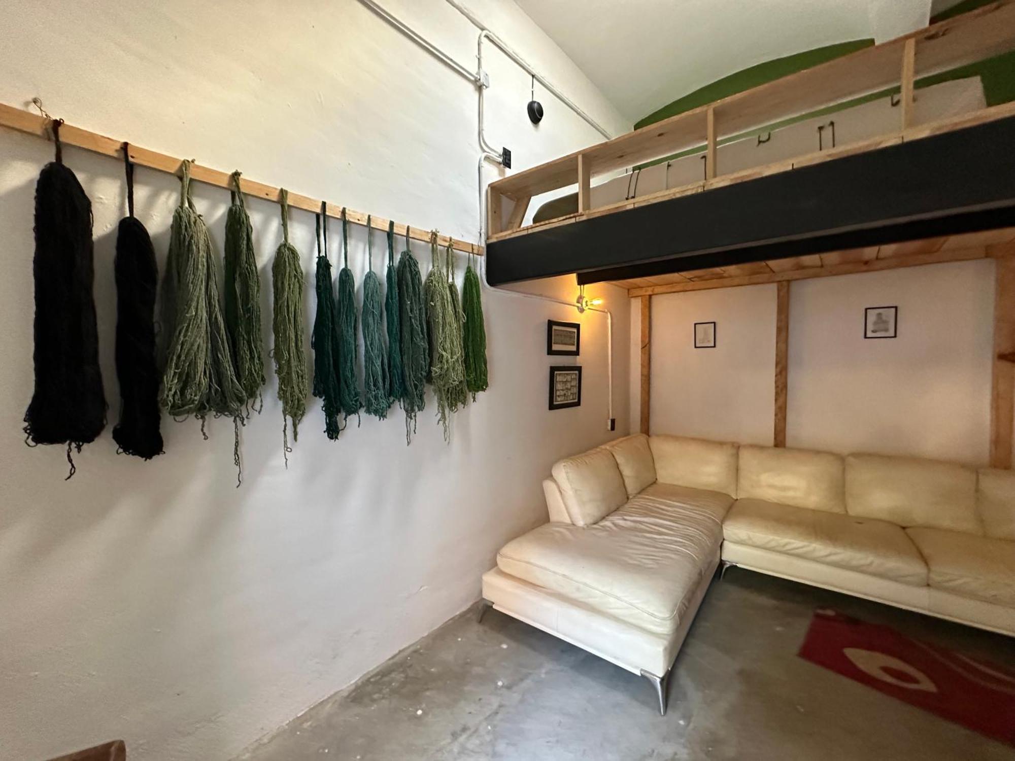 509 Accommodation Oaxaca Ngoại thất bức ảnh