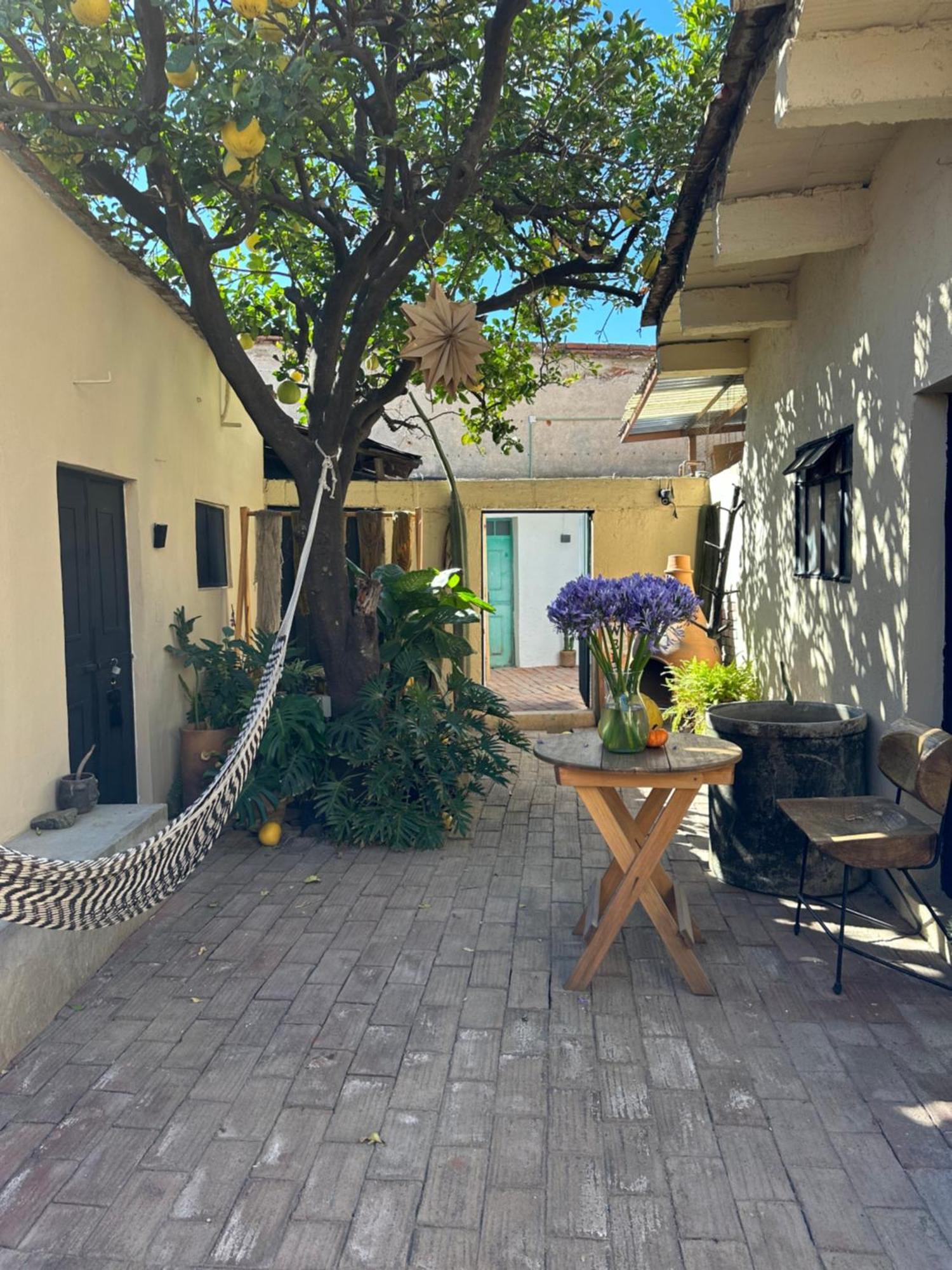 509 Accommodation Oaxaca Ngoại thất bức ảnh
